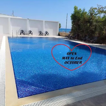 Lazuli & Pool 501